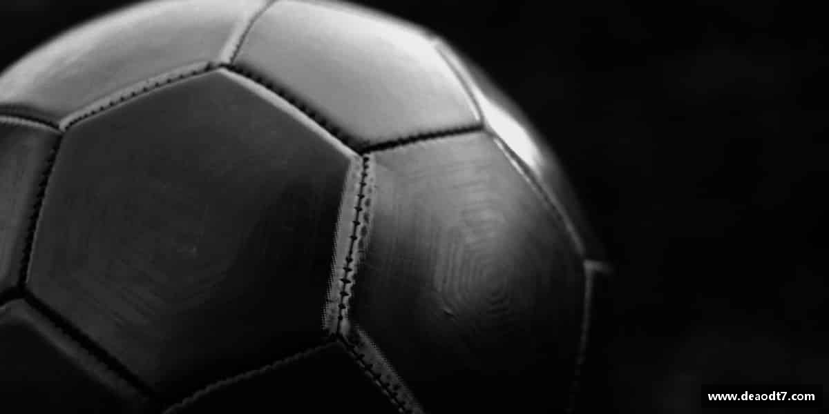 好博中国体育热血青春，拼搏无悔。